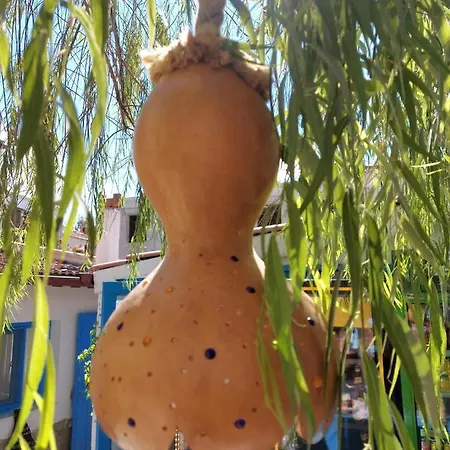 Alloggio in famiglia Purhayal Siğacık